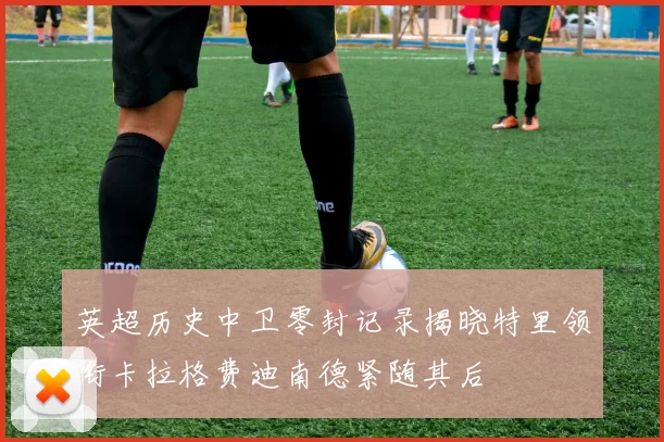 英超历史中卫零封记录揭晓特里领衔卡拉格费迪南德紧随其后