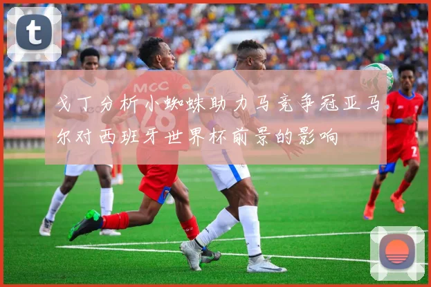 戈丁分析小蜘蛛助力马竞争冠亚马尔对西班牙世界杯前景的影响